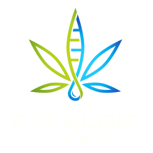 The Excelbis Labs footer logo.