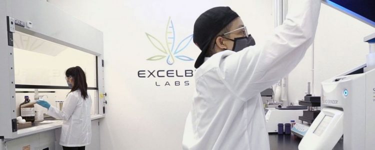 Excelbis Labs Testing facility.