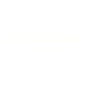 The Excelbis Labs footer logo.